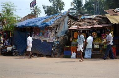 On the Route to Chowara Beach,_DSC_9099_H600